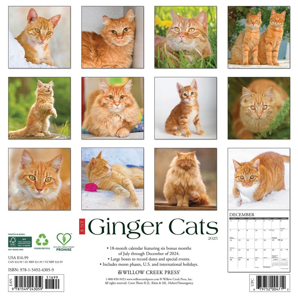 Ginger Cats 2025 Wall Calendar First Alternate Image width=&quot;1000&quot; height=&quot;1000&quot;