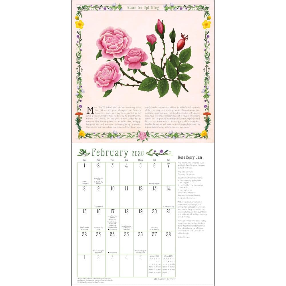 Kitchen Witch 2026 Wall Calendar Second Alternate Image