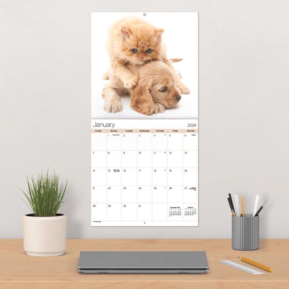 Buddies 2024 Wall Calendar