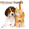image Kittens &amp; Puppies 2024 Wall Calendar Main Image