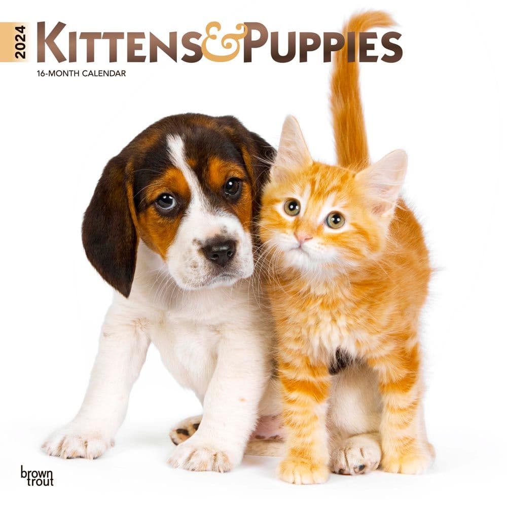 Kittens &amp; Puppies 2024 Wall Calendar Main Image
