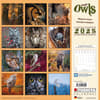 image Magic Owls 2025 Wall Calendar First Alternate Image width="1000" height="1000"