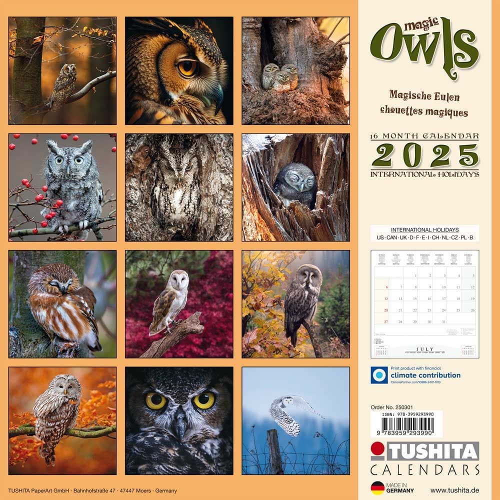 Magic Owls 2025 Wall Calendar First Alternate Image width="1000" height="1000"