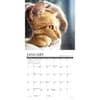 image What Cats Teach Us 2025 Mini Wall Calendar