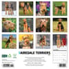 image Just Airedale Terriers 2025 Wall Calendar