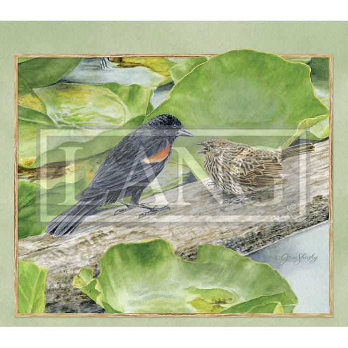 Birds In The Garden 2024 Desktop Wallpaper Calendars Com   C2b99526 C8d5 4723 B49c 41c4b76ed046