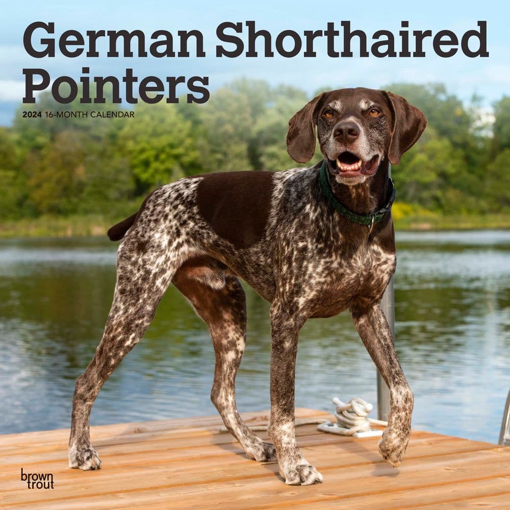 are german shorthaired pointers loyal