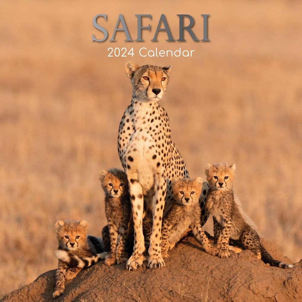 safari january 2024