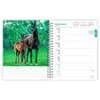 image Horses 2024 Planner First Alternate  Image width=&quot;1000&quot; height=&quot;1000&quot;