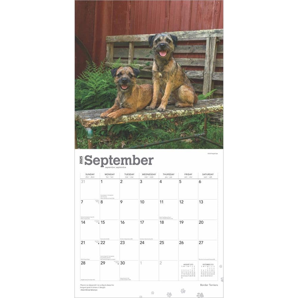 Border Terriers 2025 Wall Calendar Third Alternate Image width=&quot;1000&quot; height=&quot;1000&quot;