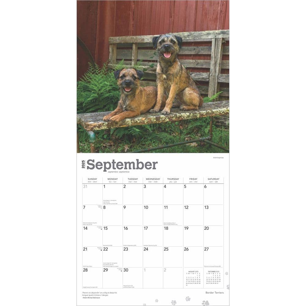 Border Terriers 2025 Wall Calendar