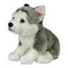 image Floppy Husky 10 Inch Plush Main Product Image