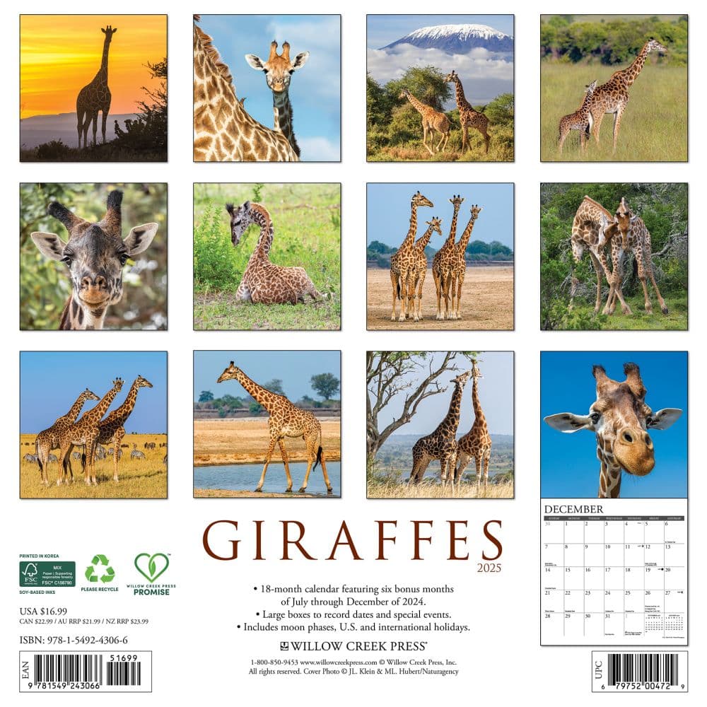 Giraffes 2025 Wall Calendar