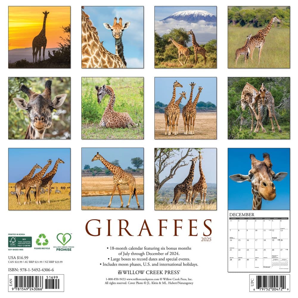 Giraffes 2025 Wall Calendar First Alternate Image width=&quot;1000&quot; height=&quot;1000&quot;