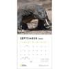 image Apex Predators 2025 Wall Calendar Third Alternate Image width=&quot;1000&quot; height=&quot;1000&quot;