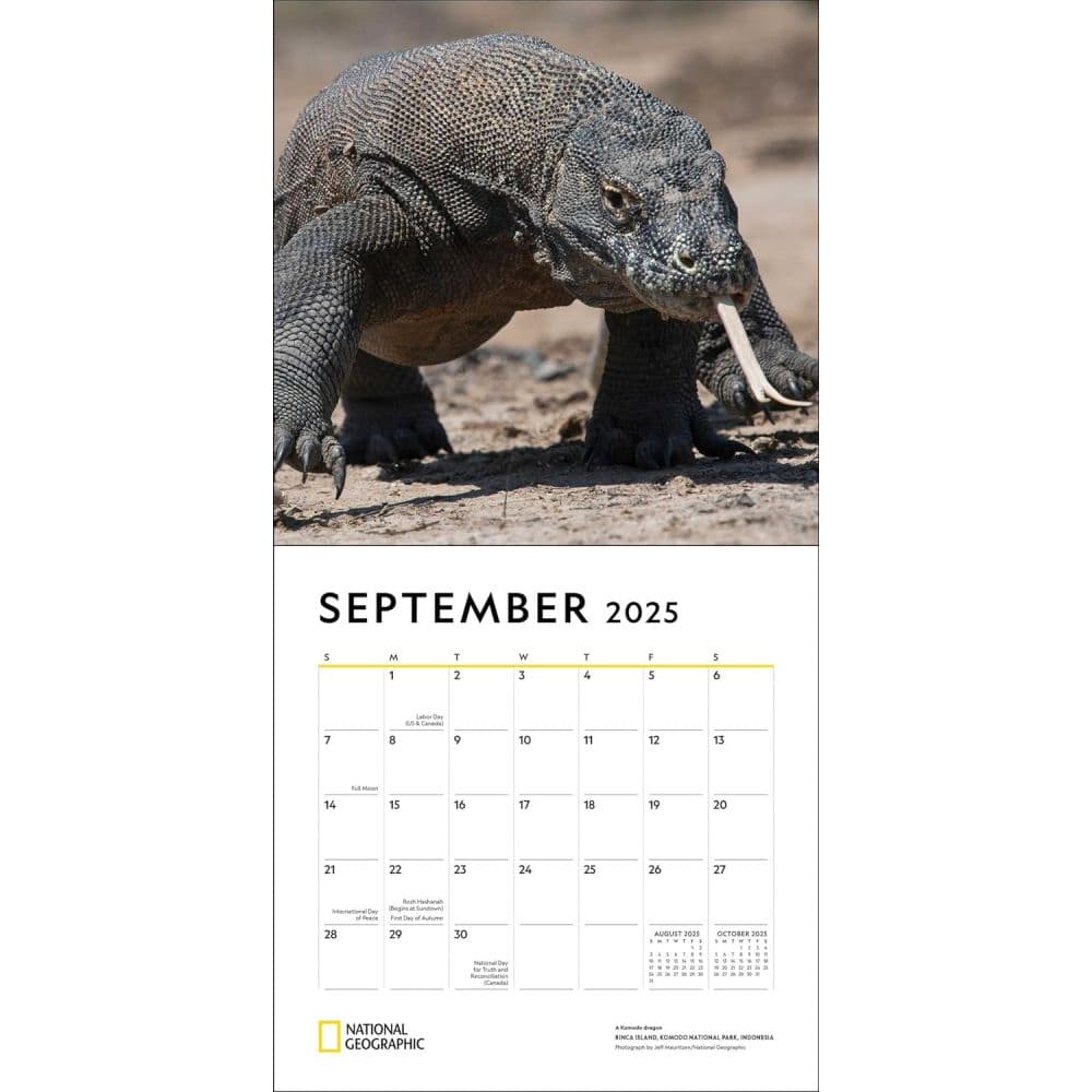 Apex Predators 2025 Wall Calendar Third Alternate Image width=&quot;1000&quot; height=&quot;1000&quot;