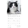 image Tuxedo Cats 2026 Wall Calendar Fourth Alternate Image