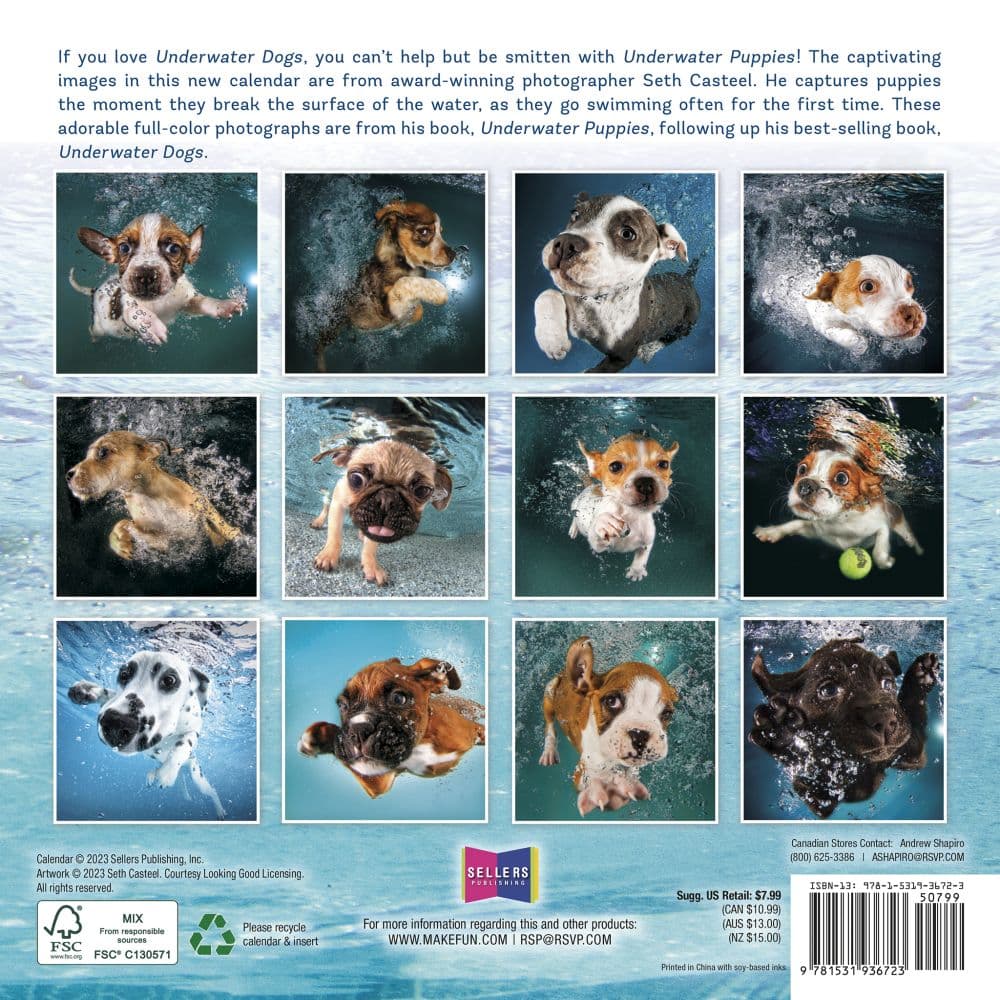 Underwater Puppies by Seth Casteel 2024 Mini Wall Calendar