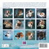 image Underwater Puppies by Seth Casteel 2024 Mini Wall Calendar First Alternate Image width=&quot;1000&quot; height=&quot;1000&quot;