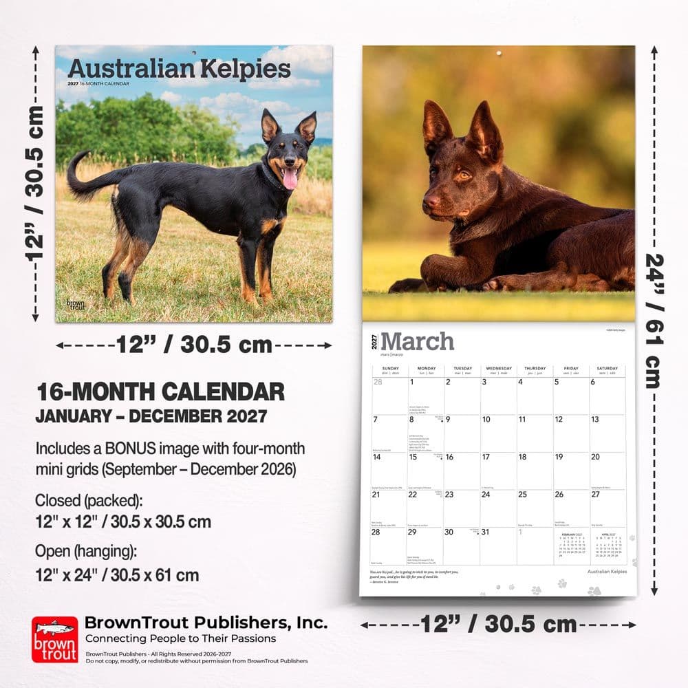 Australian Kelpies 2027 Wall Calendar Seventh Alternate Image