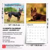 image Australian Kelpies 2027 Wall Calendar Seventh Alternate Image