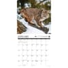 image Call of the Wild 2025 Wall Calendar Second Alternate Image width="1000" height="1000"