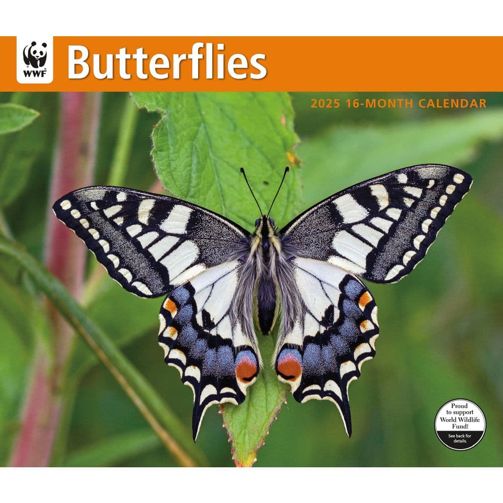 Butterflies WWF 2025 Wall Calendar