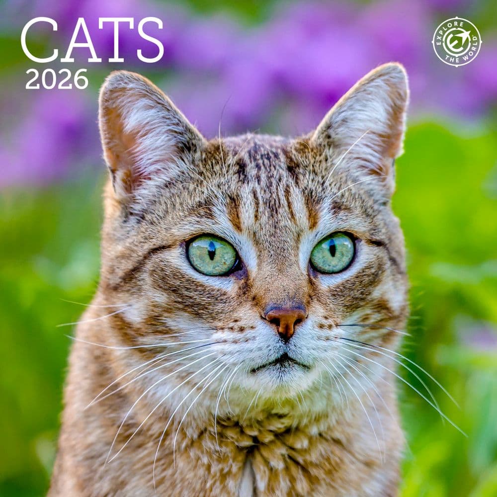 Cats 2026 Mini Wall Calendar  Main Image