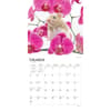 image Hamsters 2024 Wall Calendar Second Alternate Image width=&quot;1000&quot; height=&quot;1000&quot;