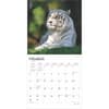 image White Tigers 2025 Wall Calendar Second Alt