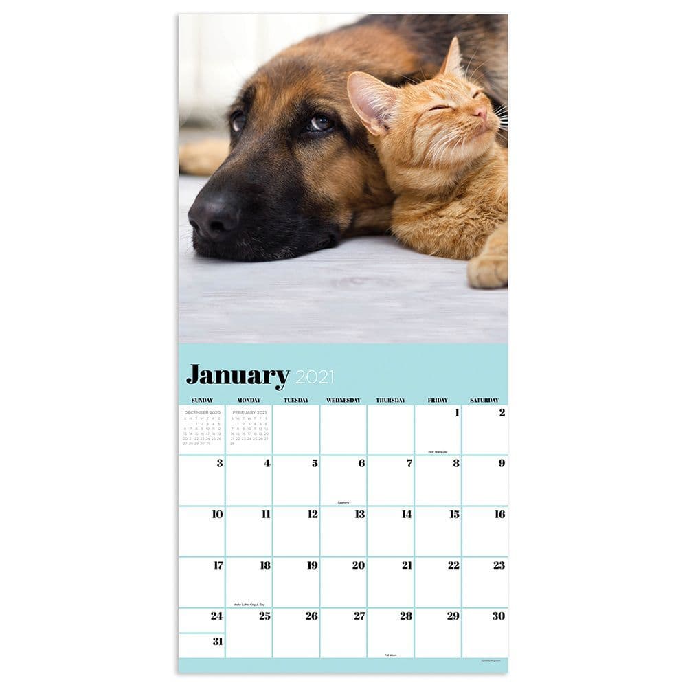 Furry Friends Wall Calendar