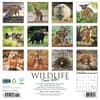 image Wildlife Down Under 2025 Wall Calendar First Alternate Image width="1000" height="1000"