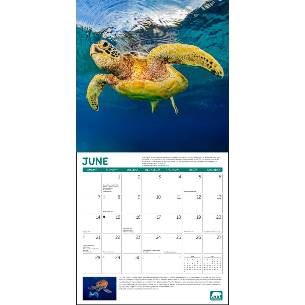 Project Green 2026 Wall Calendar Second Alternate image