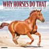 image Why Horses Do That 2025 Wall Calendar Main Image