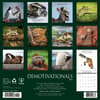 image Demotivationals 2026 Wall Calendar First Alternate Image
