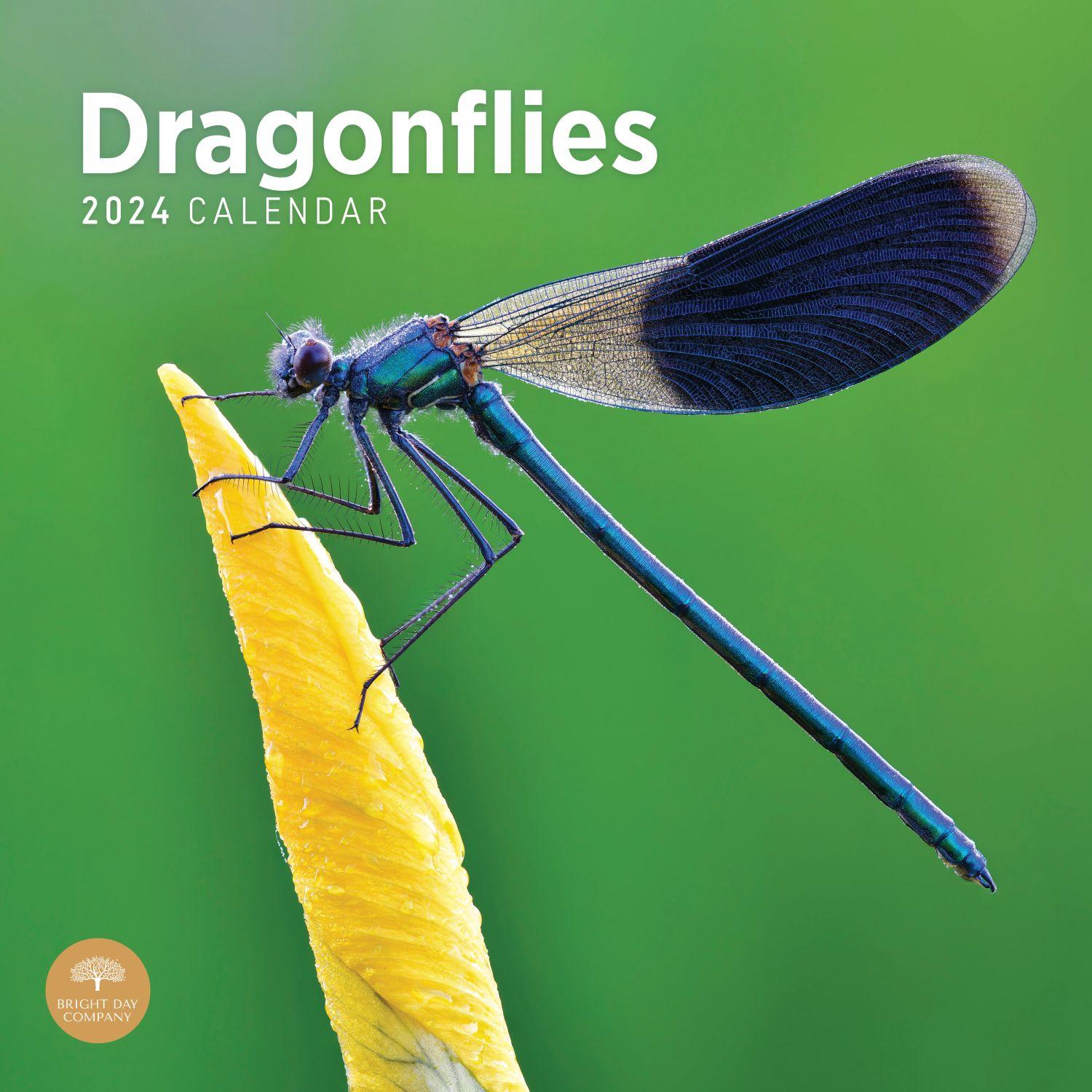 Dragonflies 2024 Wall Calendar