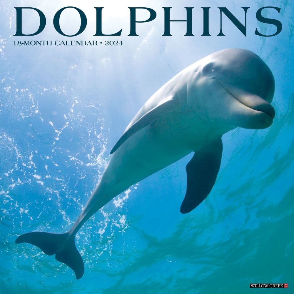 Dolphins 2024 Wall Calendar Calendars Com   C35316a7 4e8a 46fd B0bf 2d88d089a226