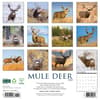 image Mule Deer 2025 Wall Calendar First Alternate Image width="1000" height="1000"