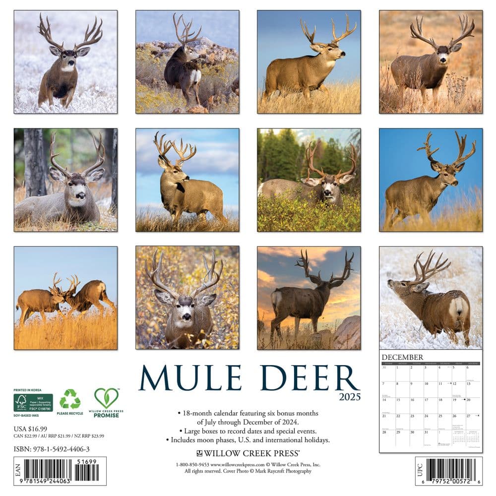 Mule Deer 2025 Wall Calendar First Alternate Image width="1000" height="1000"