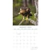 image Country Wildlife 2025 Wall Calendar Third  Alternate Image width=&quot;1000&quot; height=&quot;1000&quot;