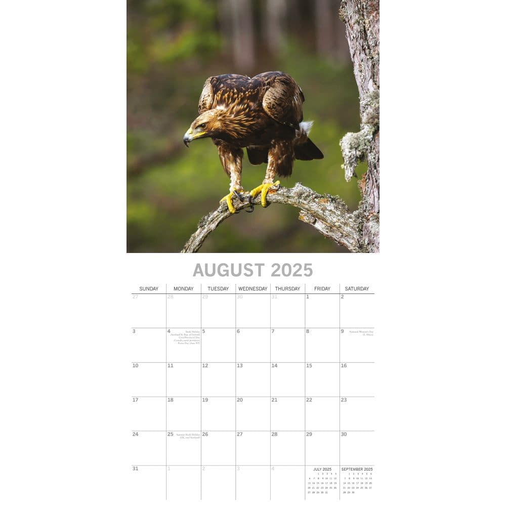 Country Wildlife 2025 Wall Calendar