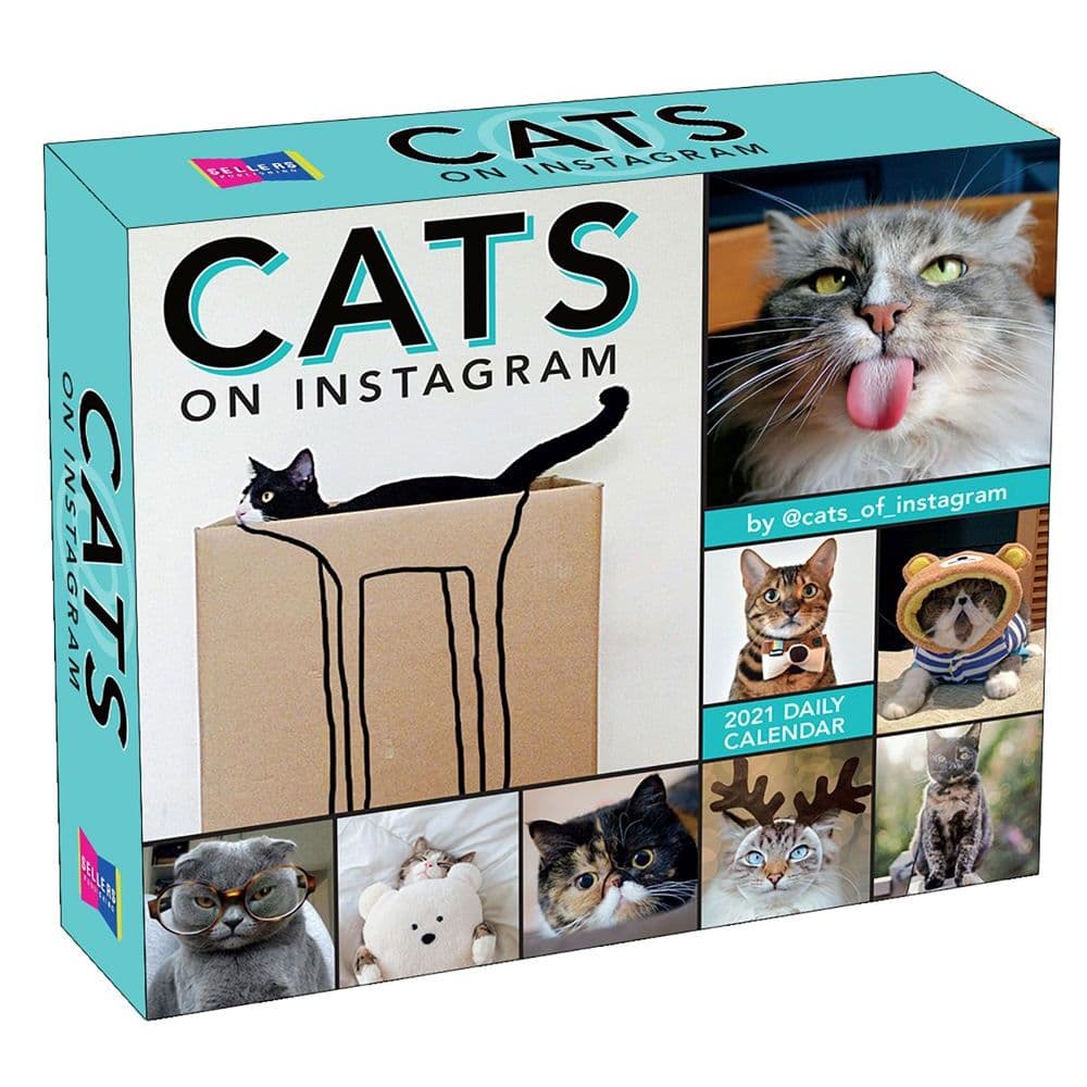Cats on Instagram Desk Calendar