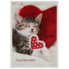 image Photo Kitten And Heart Pillows Valentine&#39;s Day Card First Alternate Image width=&quot;1000&quot; height=&quot;1000&quot;