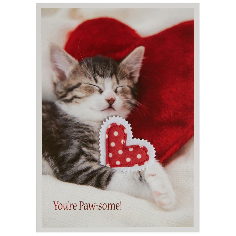 Photo Kitten And Heart Pillows Valentine&#39;s Day Card First Alternate Image width=&quot;1000&quot; height=&quot;1000&quot;