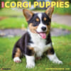 image Just Corgi Puppies 2026 Wall Calendar  Main Image
