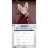 image Star Trek Cats 2025 Wall Calendar Second Alternate Image width=&quot;1000&quot; height=&quot;1000&quot;