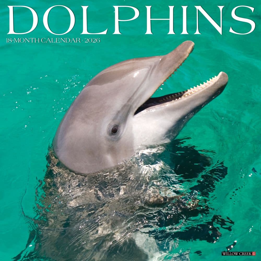 Dolphins 2026 Wall Calendar   Main Image