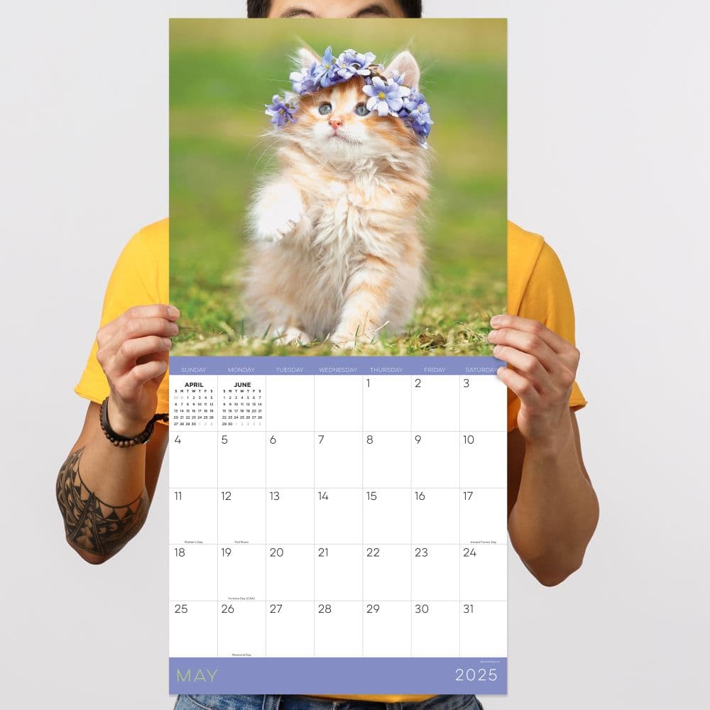 Kittens 2025 Wall Calendar Fourth Alternate Image