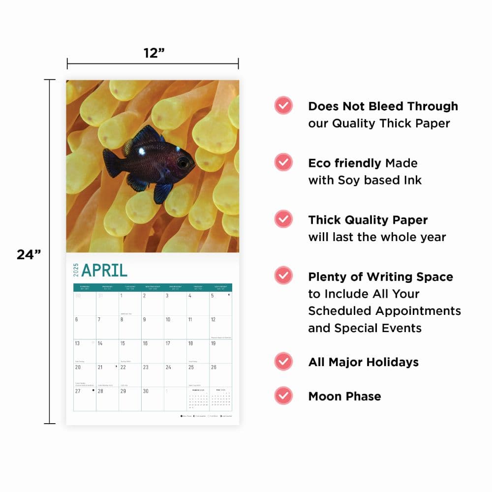 Tropical Fish 2025 Wall Calendar