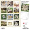 image Yellow Lab Retriever Puppies 2024 Wall Calendar First Alternate Image width=&quot;1000&quot; height=&quot;1000&quot;